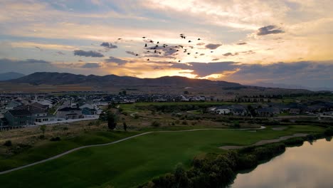 Aerial-view-of-a-urban-suburb,-park-and-walking-trail-with-Canada-geese-flying-through-the-scene