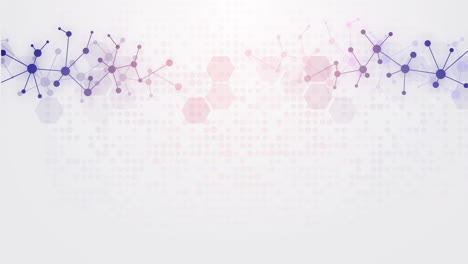 white scientific abstract background with copy space and colored molecular mesh. animated science glowing screensaver. looped motion graphics.