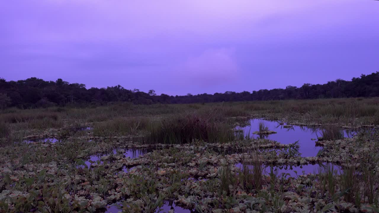 Purple sky in Landscape of wetland with forest in background on cloudy day at twilight
