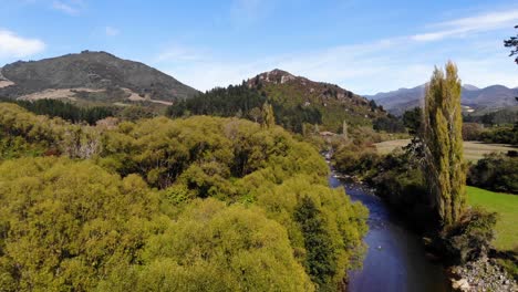 aerial shot flying towards trees above a river in the tasman district of new zealand