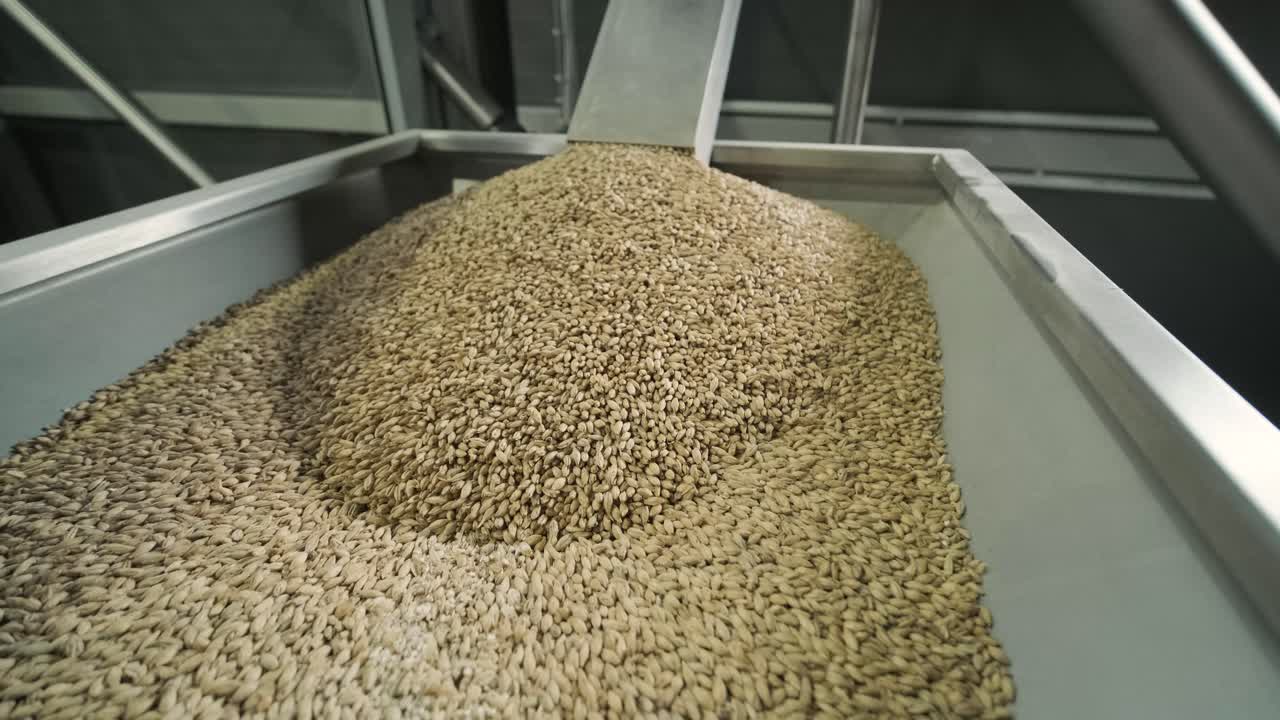 현대적 인 공예 맥주 양조장. 맥주 생산을 위한 몰트. 공예 맥주의 양조. 양조장에서의 현대적인 장비.