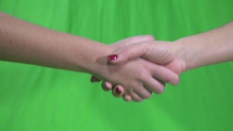 hand gesture handshake with green screen