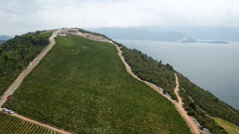 viñedos y bodega komarna con vistas al puente peljesac sobre la bahía de mali ston en croacia