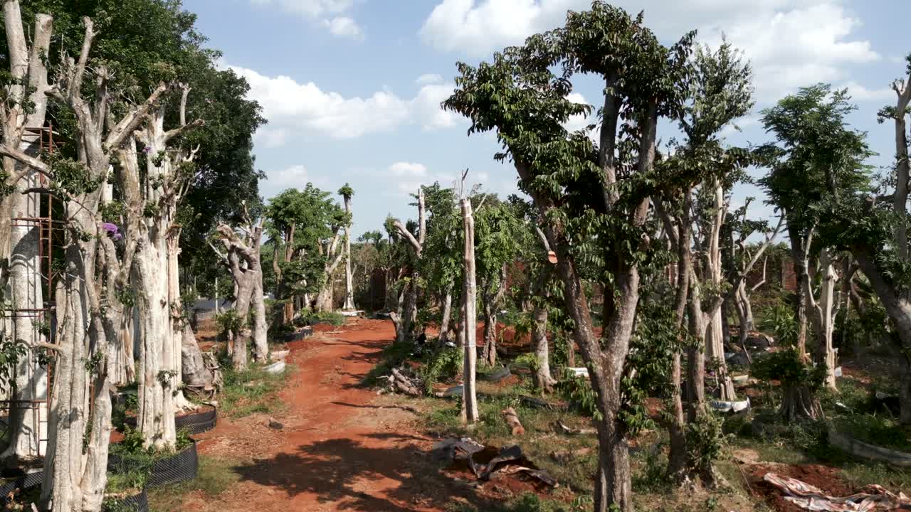 Tree Nursery with Diverse Species