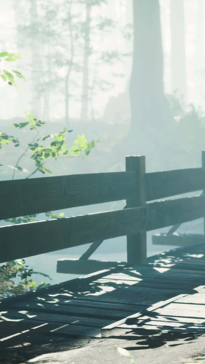 안개 숲 에 있는 나무 다리