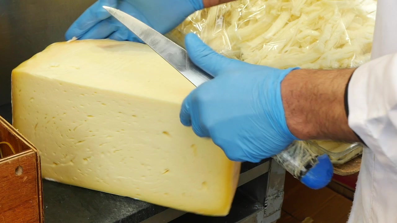 Casaro professionista che taglia una grande forma di formaggio