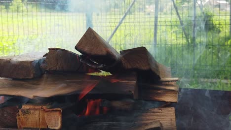 quemando troncos de madera para una barbacoa