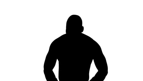 muscular silhouette of boxer posing for camera