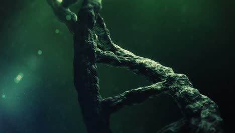 DNA 나선