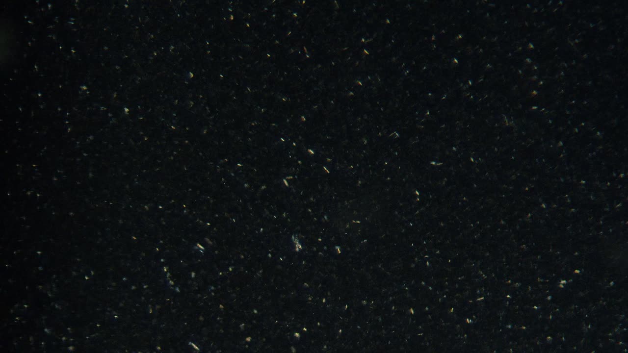 Microscopic Particles on Dark Background