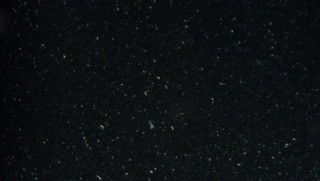 microscopic particles on dark background