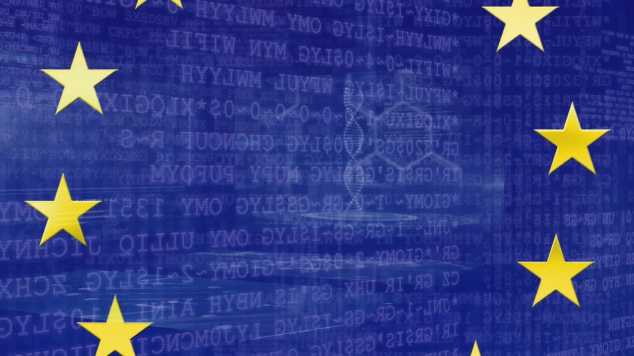 eu  ⁇ 발 위의 데이터 처리의 애니메이션