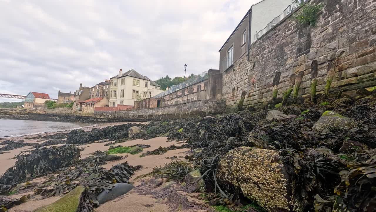 해조류 로 인 바위 들 이 역사적 인 돌 벽 을 따라