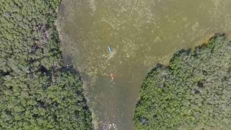 Blick-Von-Oben-Auf-Kajakfahrer-In-Mangroventunneln-In-Florida