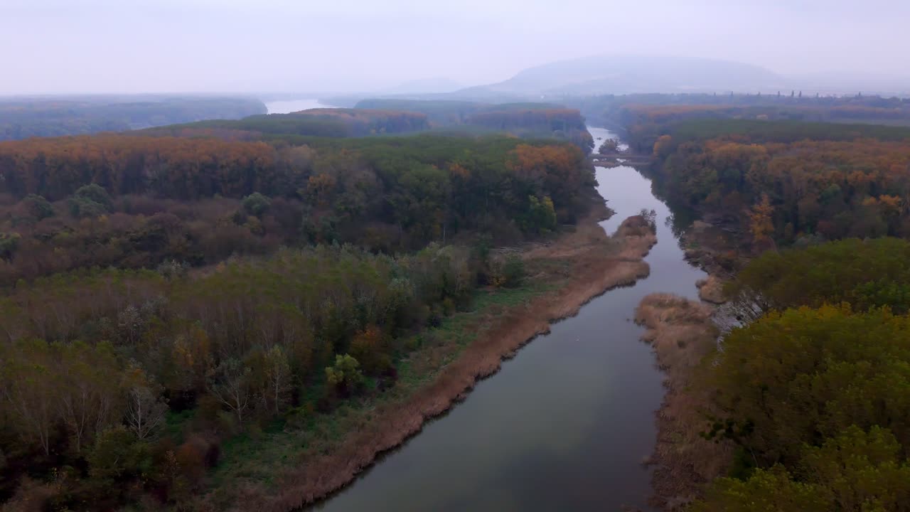 Autumnal Nature With Floodplains During Misty Morning In Danube River, Europe. Aerial Drone Shot