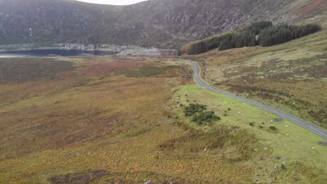 rural mountainous area with sheep in ireland