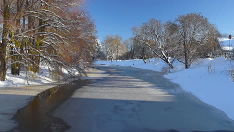gorgeous footage of a river in laagri slightly covered with ice and snow while big brown oak and ash trees grown on the riverbanks during sunny winter day. trees and riverbanks covered in white snow.