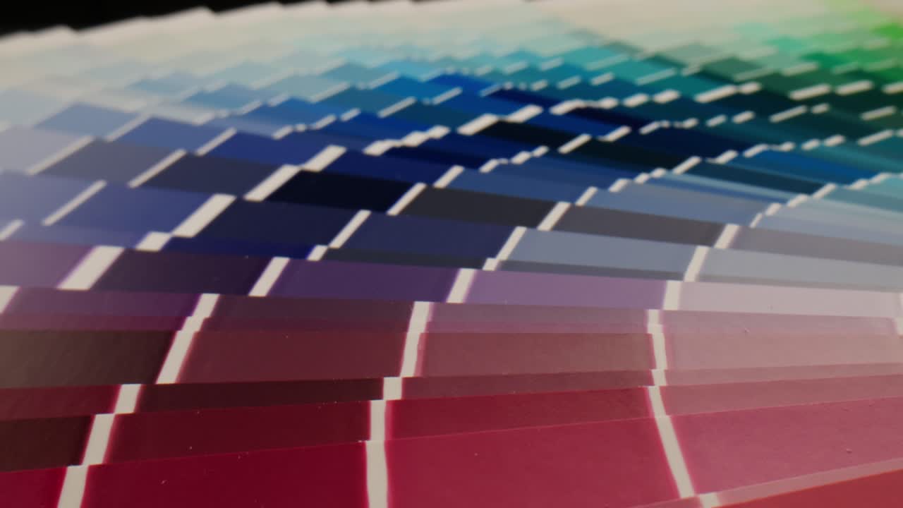 muestras de la paleta de colores