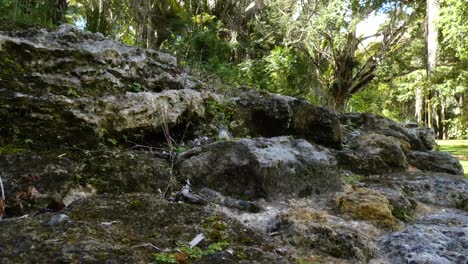 Closeup-of-The-Ball-Court-wall-at-Kohunlich-Mayan-Site---Quintana-Roo,-Mexico