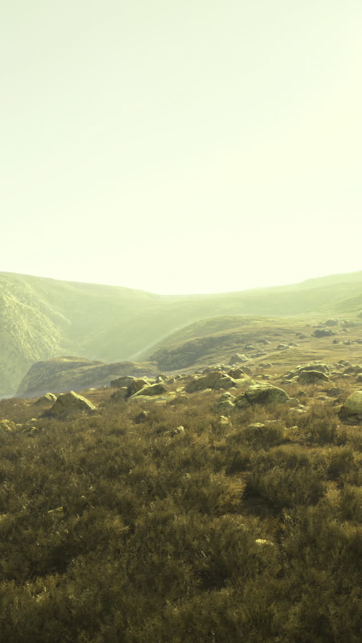 Scenic view of lush hills and rocky landscape under bright sunlight