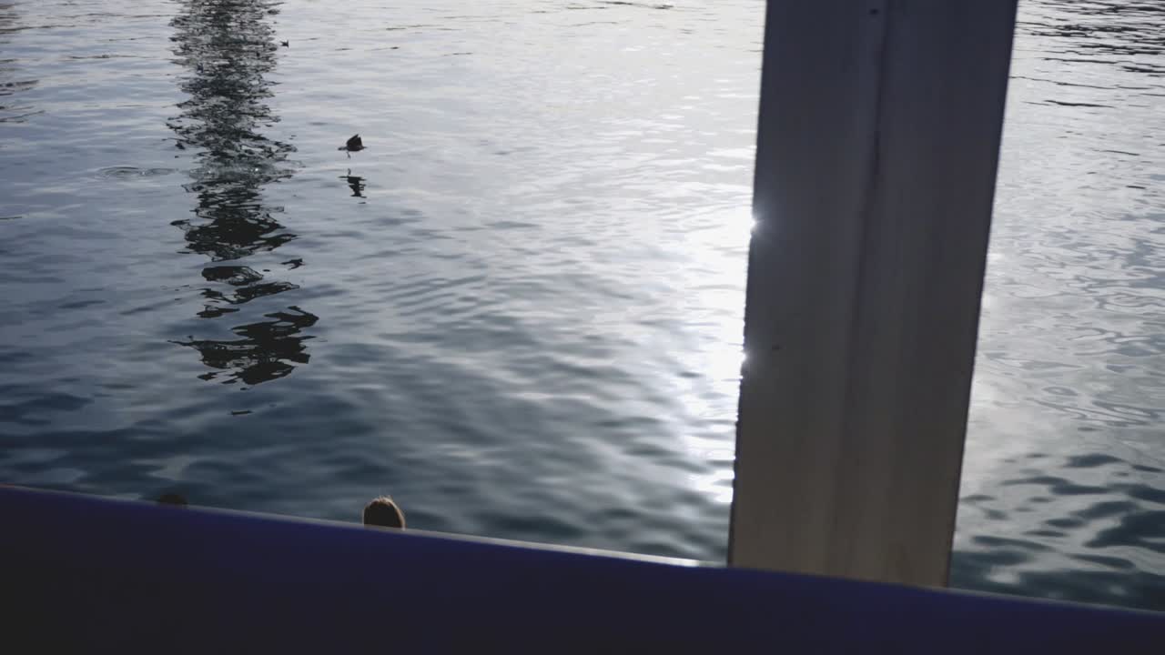 반사와 새와 함께 도시 해안 풍경