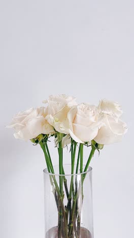 white roses in a vase