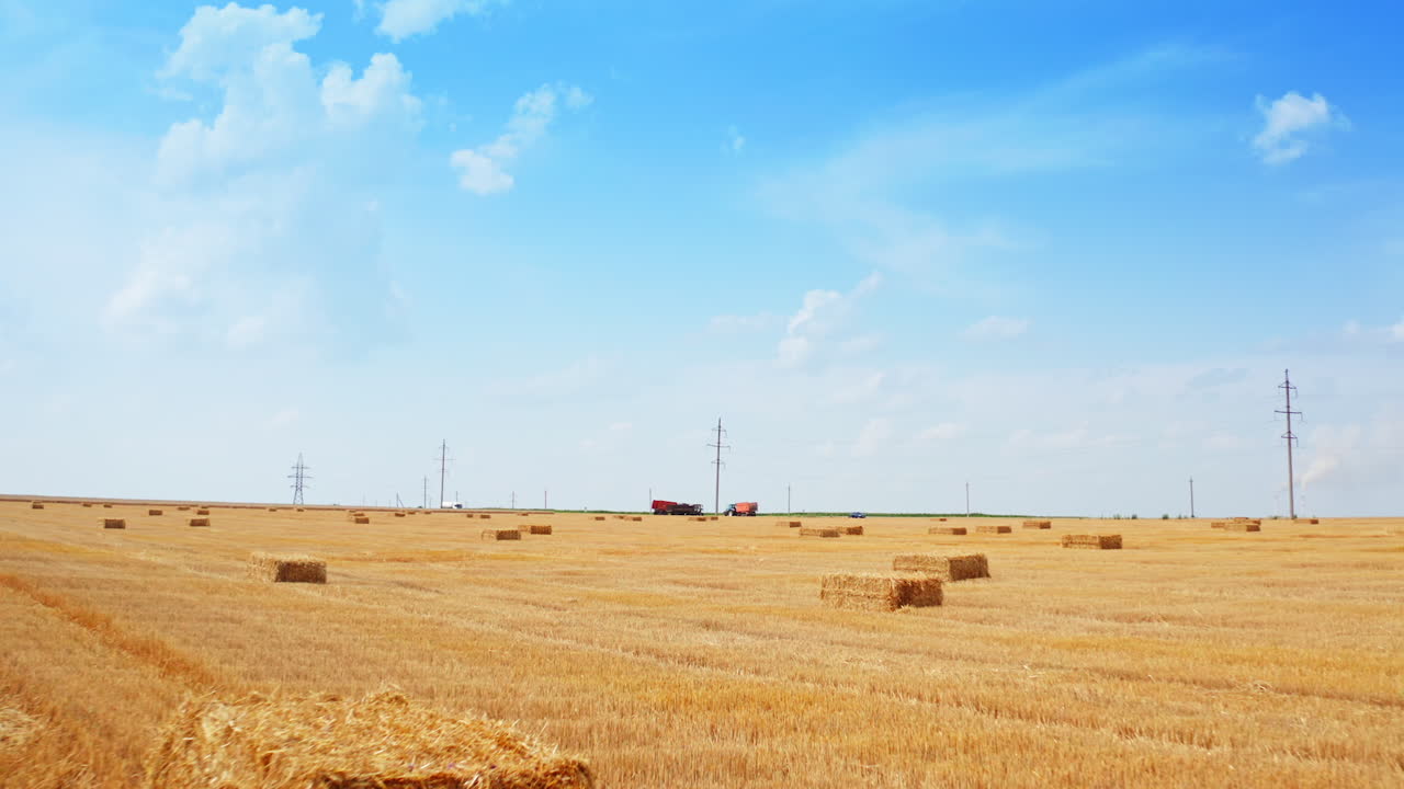 Hay Bales in a Golden Wheat Field
