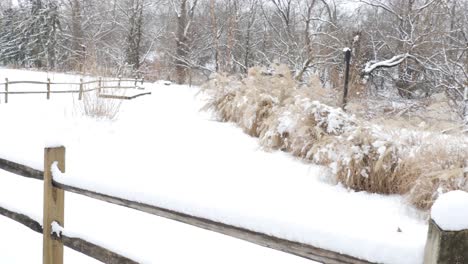 Césped-Decorativo-En-Invierno-En-Bexley-Park-Ohio