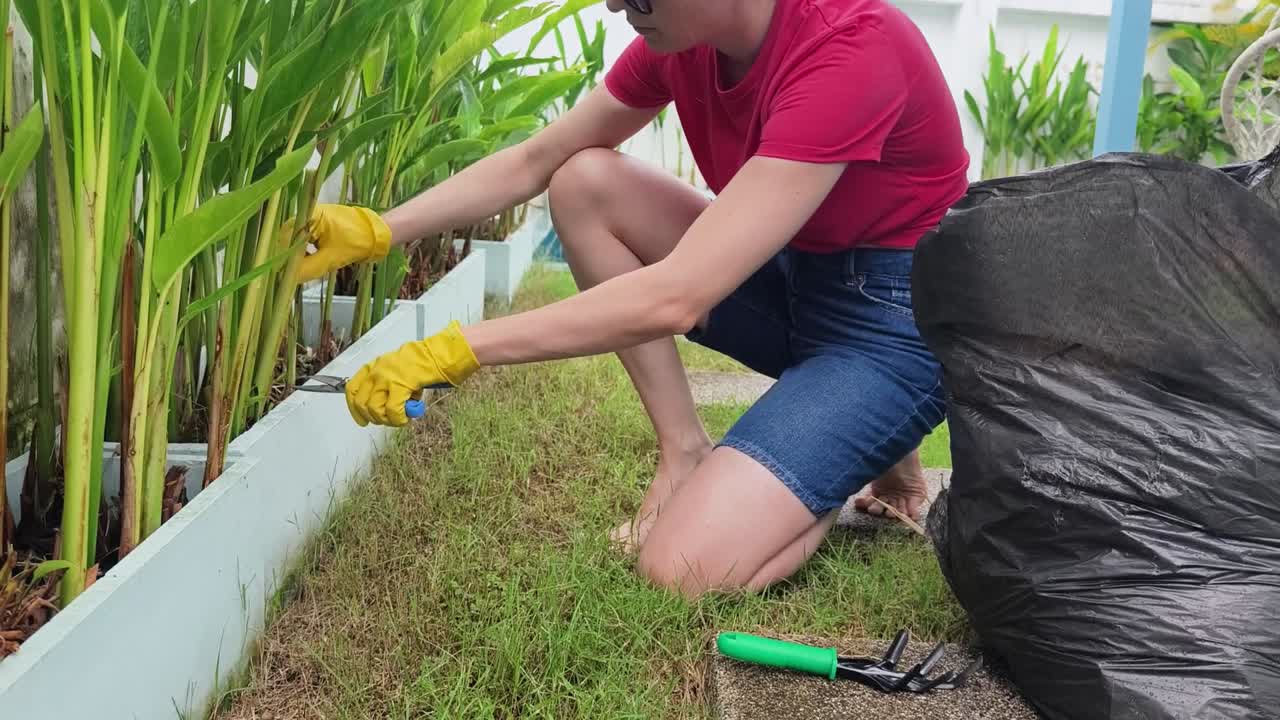 Gardening and yard work