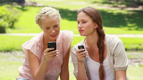 two women with their phones in hand in the park as they read a text message