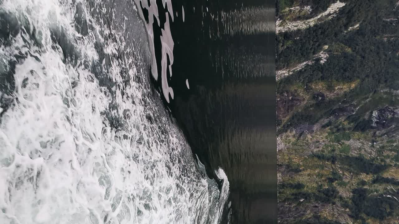 뉴질랜드 의 밀포드 사운드 에 있는 관광 항해 배 를 따라 놀고 수영 하는 바구니 코 돌고래