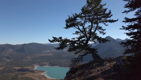 árbol-A-Gran-Altitud-Montañas-Lago-Dando-Vueltas-Se-Acercó