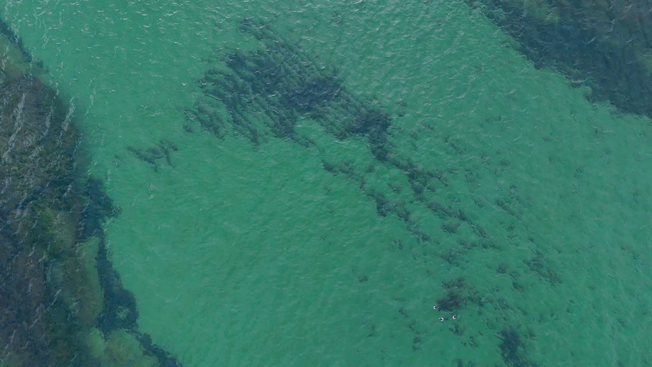 Close up aerial view of underwater reef and clear green water. High angle shot of a large underwater rock formation covered in green algae in transparent sea water