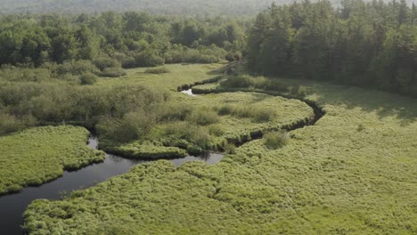 river meandering through mangrove towards dense forestry aerial 4k