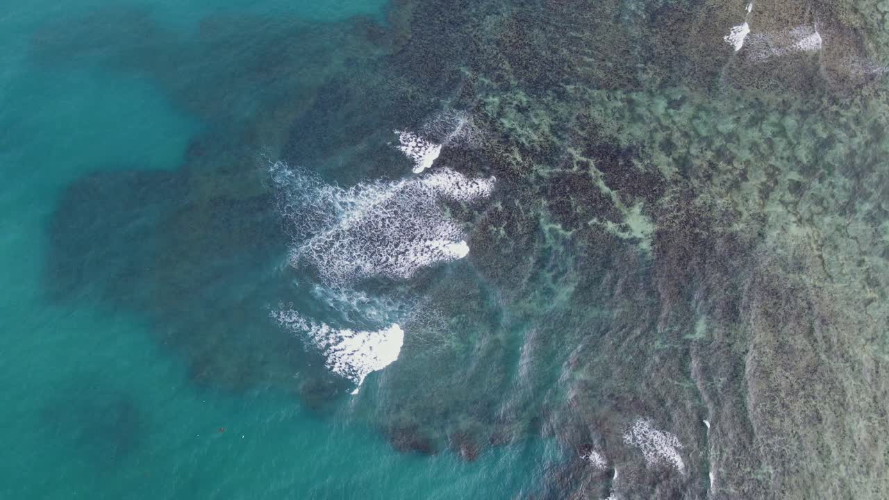 Overhead drone shot of vibrant fringing reef and turquoise ocean waters with tidal waves crashing during daytime