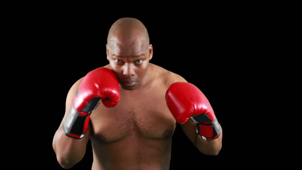 boxeo de culturistas para la cámara