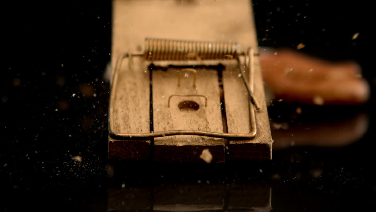 한 조각 을 는  함정