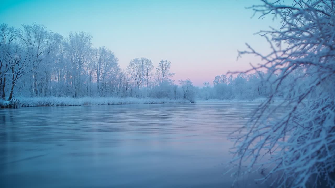 Sunrise causing muted blue water turning soft pink hues over forest riverbank, with birds circling