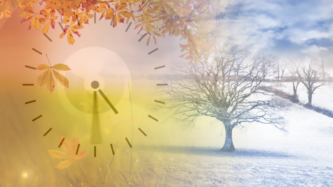 시계 를 가진 겨울 에 나무 들