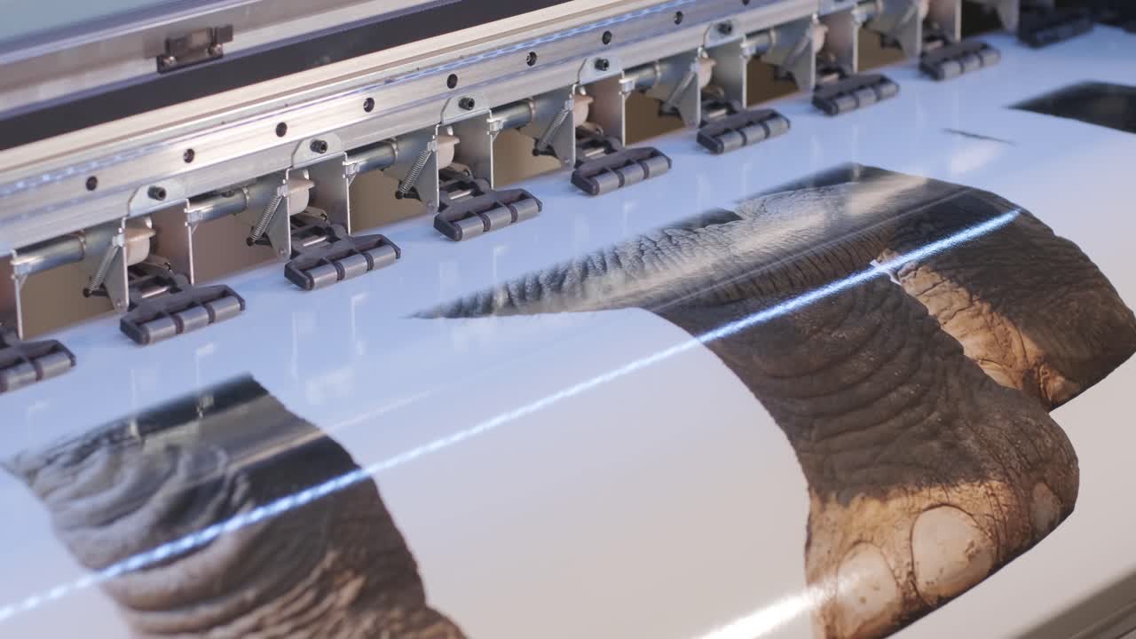 스트레치 천장에 대한 대형 인쇄