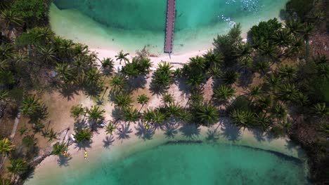 aerial view of a tropical island ko ngam with palm trees and wooden pier in turquoise ocean water. marvelous aerial view flight drone camera pointing down
