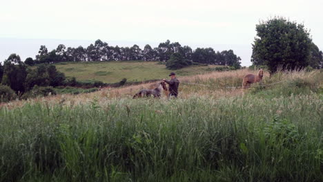 farmer and horses grazing in green field