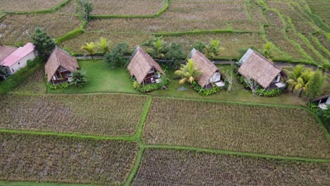 Elegantes-Cabañas-Ecológicas-Y-Bungalows-De-Hotel-Con-Techo-De-Paja-Al-Estilo-Balinés-En-Medio-De-Campos-De-Arroz