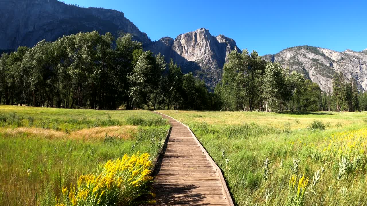 parque nacional de yosemite, estados unidos - 4 de agosto de 2020
