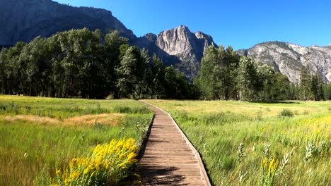 Yosemite-National-Park,-USA---August-4,-2020