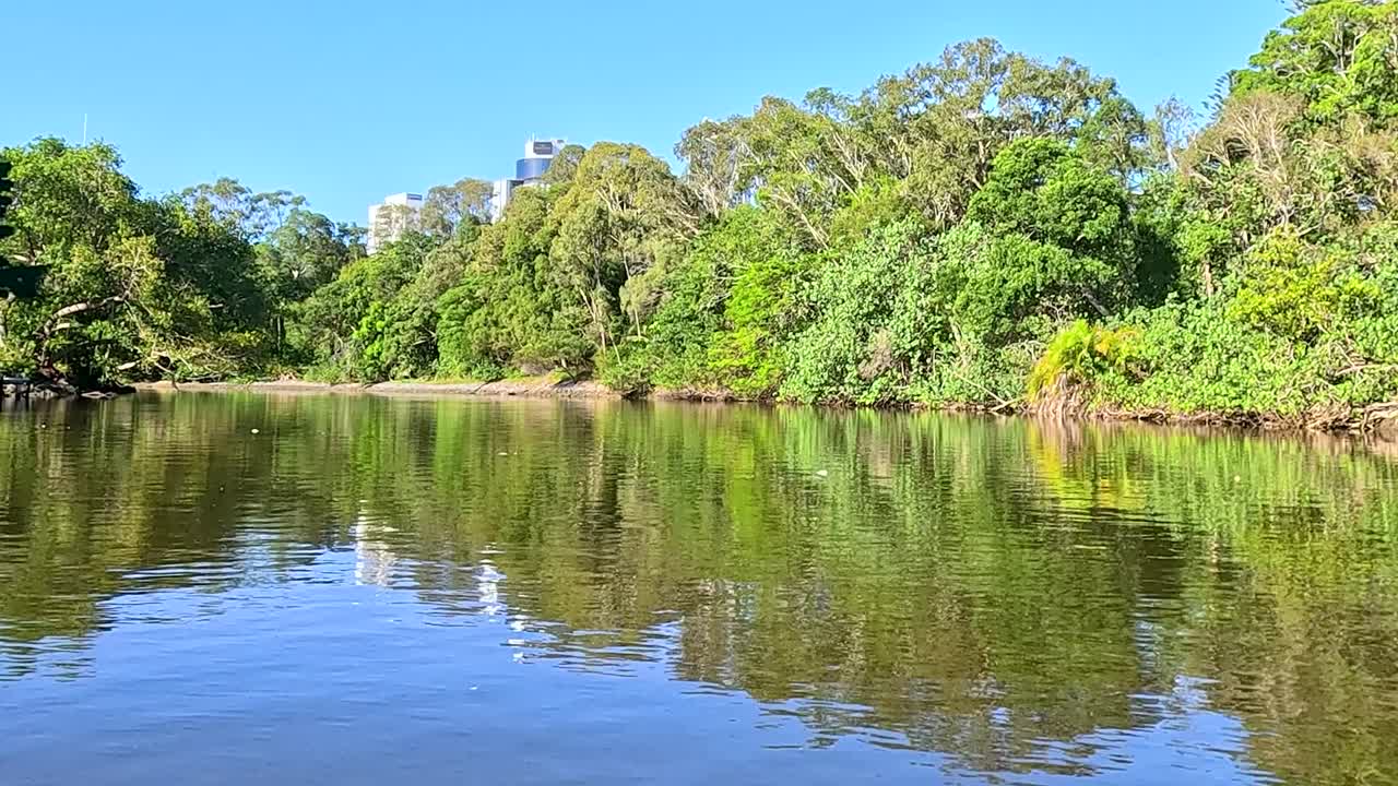 River Scene with Lush Forest