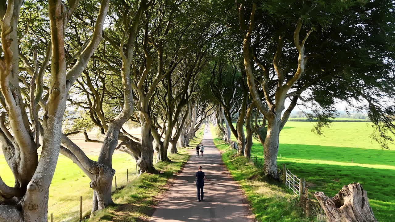 People walk by the beautiful alley among the stunning trees with wavy branches. The Dark Hedges avenue of beech trees in County Antrim, Northern Ireland.