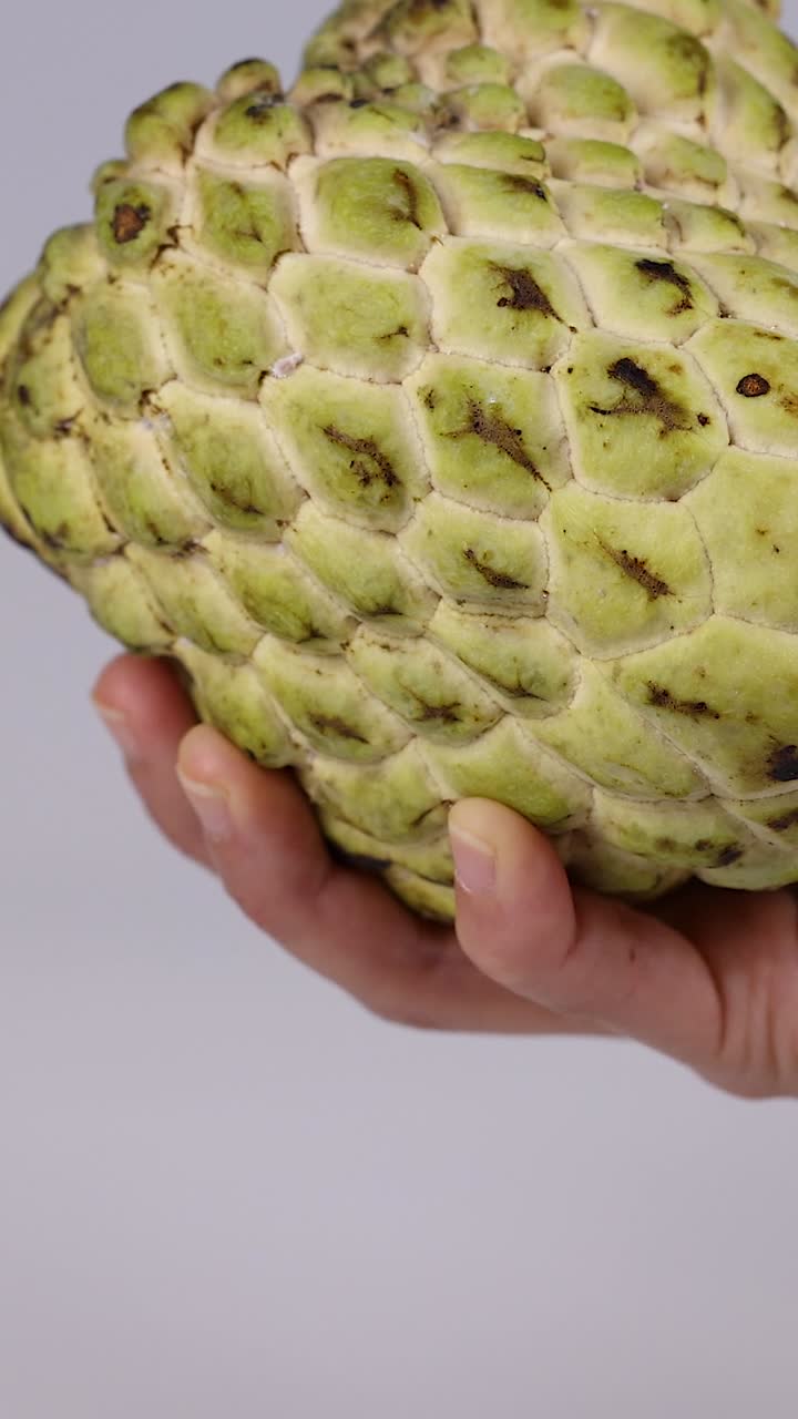 manos examinando una manzana de crema desde varios ángulos