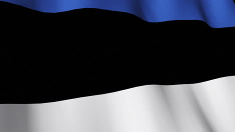 flag of estonia