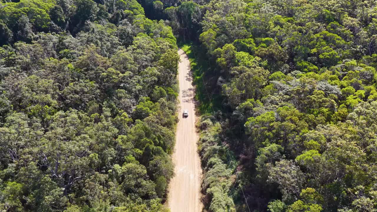 Aerial view of a car driving through a lush forest road, captured by a drone
